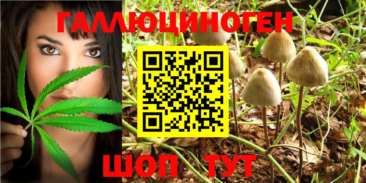 Галлюциногенные грибы Psilocybe Борисоглебск