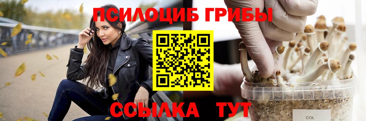 Галлюциногенные грибы мицелий  Вход с VPN  Борисоглебск 
